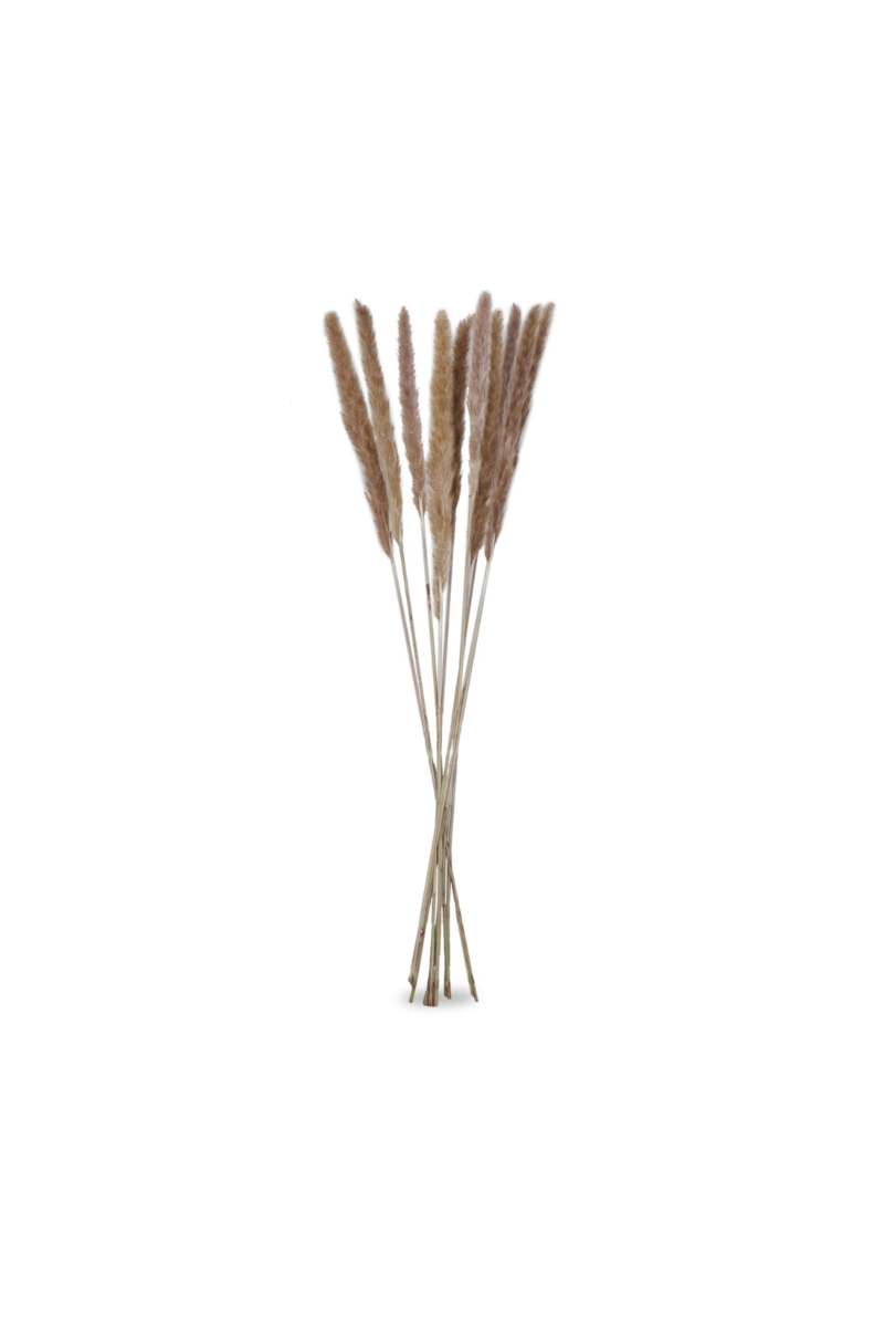 Preserved Gramineae Grass 85cm (Bunch)